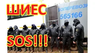 ШИЕС. SOS!!!