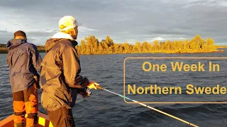 A Week In Northern Sweden. Smoking Fish, Fishing