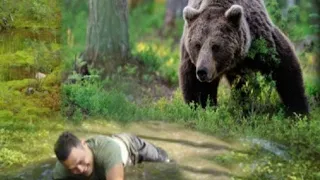 The guy had an accident, the bear heard his moans and saved him