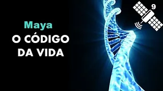 O código da vida - Maya