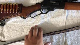 Lever Action Cleaning (No Disassembly)