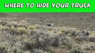 Where to hide your truck when coyote hunting