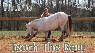 How To Teach Your Horse To Bow (3 Different Methods)