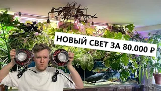 Меняю в домашнем аквариуме свет за 8000 ₽ на свет за 80000 ₽ / Стоит ли оно того?  / Ledstar tyndall