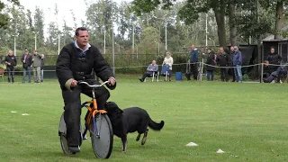 KNPV Keuring Hattemerbroek 25 -  09 -  2020  Rijwielstellen