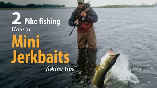 How to • Pike fishing • Mini Jerkbaits  • fishing tips