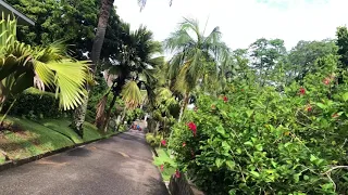 Сейшельские острова.Столица "Виктория".Завершение осмотра Ботанического сада.Ноябрь2019