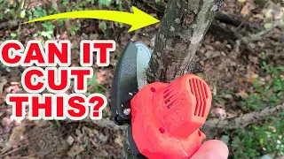 TRYING AN $80 MINI CHAINSAW FROM AMAZON