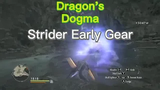 how to get strong as Strider early in Dragon's Dogma