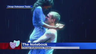 2's Got Your Ticket: "The Notebook" at Chicago Shakespeare Theater