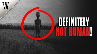 Definitely NOT HUMAN! | PARANORMAL CASES We Still Can't Explain