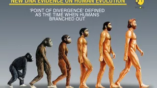 Humans evolved over 300,000 years ago