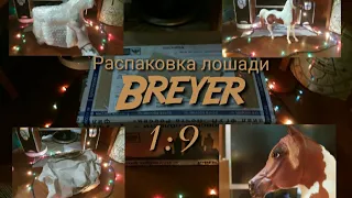 |Breyer Pacage| Распаковка лошади Breyer-  Chili Morgan (1:9). Первый трад!