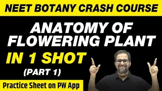 Anatomy of Flowering Plants in 1 Shot (Part 1) - All Theory, Tricks & PYQs | Class 11 | NEET