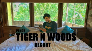 TIGER N WOODS RESORT PENCH || Pench National Park || Turiya gate || Resort in Pench National Park
