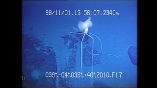 Bigfin Squid footage 1998 - Magnapinna squid