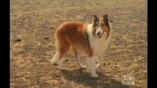 Lassie The Alone Years (Season 17 Eps 17 Other Pastures Other Fences)