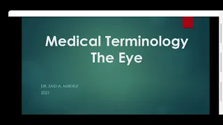 s3   Medical Terminology Eye L3 ( A )