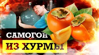 Cамогон из ХУРМЫ