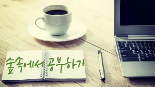 [3 hour]☕ [업무, 공부 음악] Cozy piano | ASMR 피아노 | 장작 타는 소리, 풀벌레 소리