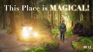 Have you ever seen a place more enchanting?!? Exploring the PNW - EPISODE 13