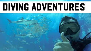 Bahamas Liveaboard Diving Trip: Swimming With Sharks Has Never Been Easier! Aquacat Adventures