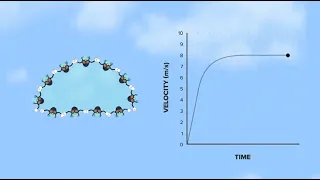 Какую форму имеют капли дождя? - What Do Raindrops Really Look Like? / It's Okay To Be Smart