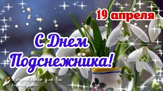 🌞🌸С Днем Подснежника 19 апреля! Пусть радует первый весенний цветок! Поздравление с Днем Подснежника