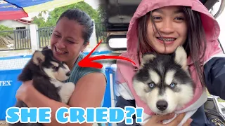 Surprising My Mom With Her Dream Husky Puppy! | ANG MAHAL!! | Sai Datinguinoo