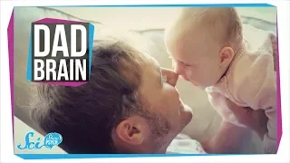 How Your Baby Changes Your Brain