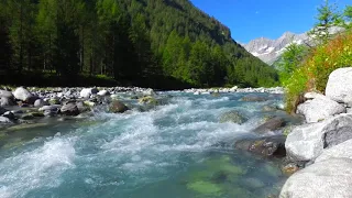 4k Forest Mountain Stream. Flowing Water. Sound of River White Noise for Sleeping, Nature Sounds.