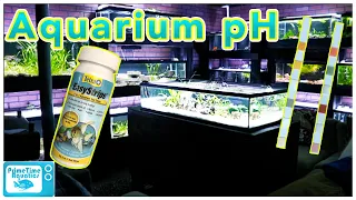 Aquarium pH: Everything You NEED to KNOW