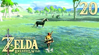 Мокрые земли ※ The Legend of Zelda: Breath of the Wild #20