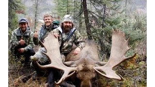 Hunting the Cassiar mountains - part 2/2 (moose)