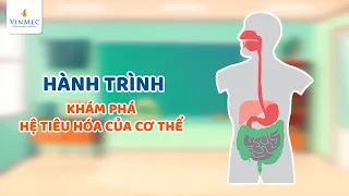 Hành trình khám phá hệ tiêu hóa của cơ thể| BS Phạm Thị Thu Hương, BV Vinmec Times City