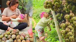 Single mother - harvests fruit with her children to sell to save money to build a house foundation
