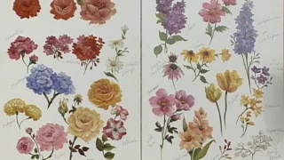 The Beauty of Oil Painting, Series 1, Episode 27 : "Flower Painting Techniques"