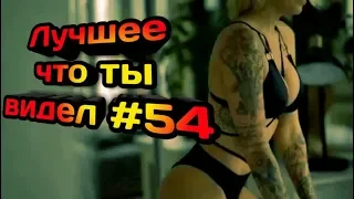 Подборка приколов №54 😂😂 | Отжался на одной руке ))) приколы с животными | Best Coub Compilation