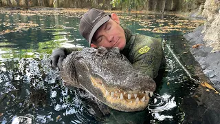 How do alligators sleep without drowning￼?