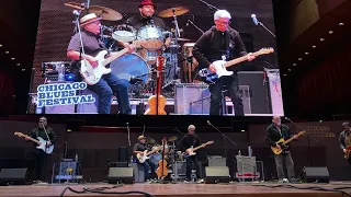 Los Lobos - 2023 Chicago Blues Festival - Jay Pritzker Pavilion - Chicago, IL - 6/11/2023 [4K]