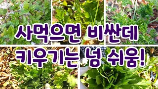 Expensive vegetables that are resistant to cold. Growing it has economic benefits!