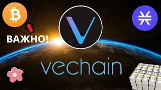 Vechain прогноз цены на 2022! Но очень Важно! Если Биткоин...