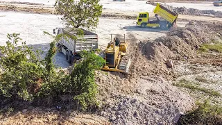 Incredible New Project Starting With Bulldozer Push Dirt Clearing Forest & Dump Truck Unloading