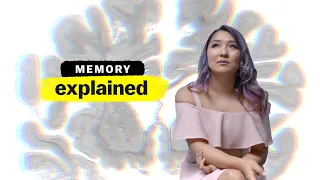 Memory, Explained | FULL EPISODE | Vox + Netflix