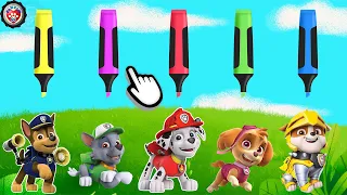 PAW Patrol | Match The Color (Yellow, Pink, Red, Green, Blue) #1 | Video For Kids | 4K