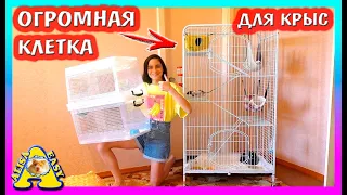 ОГРОМНАЯ КЛЕТКА ДЛЯ КРЫС / ЗООПОКУПКИ / РАСПАКОВКА / Alisa Easy Pets