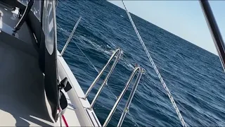 Terrifying orca (killer whale) attack on a yacht in the Gibraltar Straights