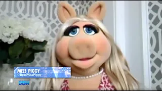 'MUPPETS NOW' STAR MISS PIGGY DISHES ON WHICH 'REAL HOUSEWIVES' FRANCHISE SHE'D LIKE TO JOIN