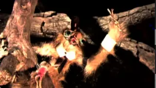 Cradle Of Filth - Mannequin (Video)