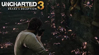Creepy Crawlers | Uncharted 3 Drake's Deception - All Spider Encounters